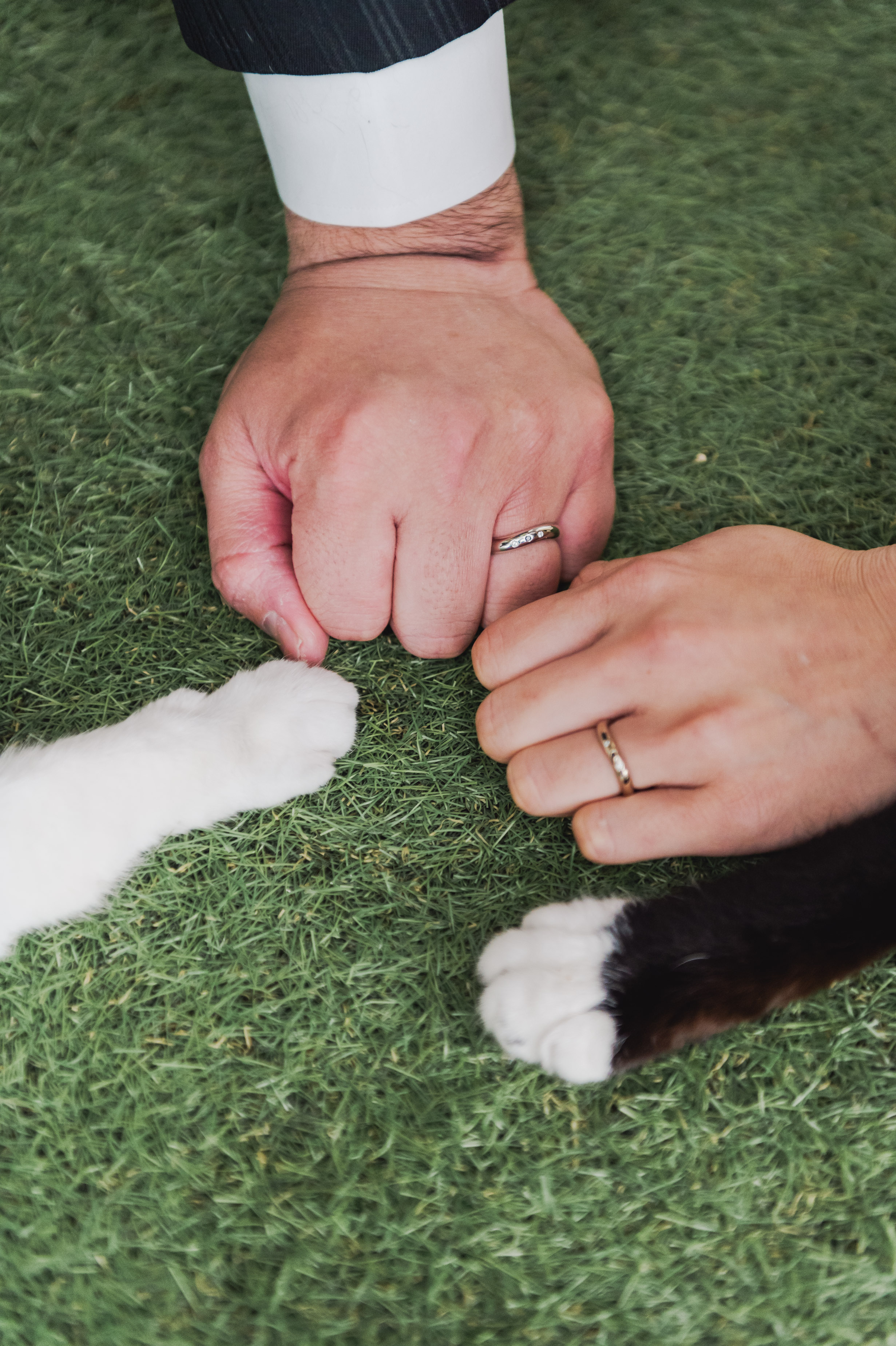 【ウェディングレポート】2024年6月　ネコちゃんと叶えたフォトウェディング♪